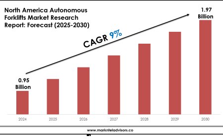 Forecasting the North America Autonomous Forklifts Market: Key Metrics & Industry Overview