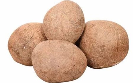 What Is Copra Used For? A Complete Guide to Its Applications