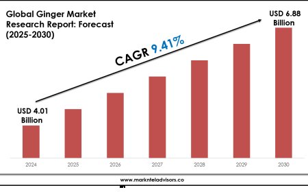 Exploring Ginger Market Trends: Growth Outlook to 2030