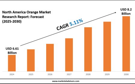 North America Orange Market Estimated to Reach USD 8.2 Billion by 2030