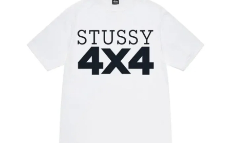 Stüssy Shirt The Effortless Cool That Defined a Generation