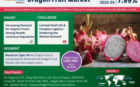 Global Dragon Fruit Market Value and Growth Projections for 2025 - 2030