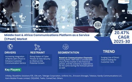 Middle East & Africa Communications Platform as a Service (CPaaS) Market Value and Growth Projections for 2025 - 2030