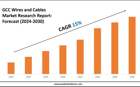 Forecasting the GCC Wires and Cables Market: Key Metrics & Industry Overview