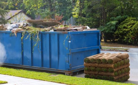 How 10-Yard Dumpsters Rental in Reno, NV, Can Help You Manage Residential Cleanouts