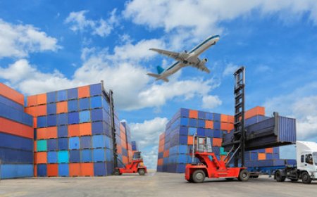 UAE Vehicle Import & Customs Clearance Made Easy – C4 Customs