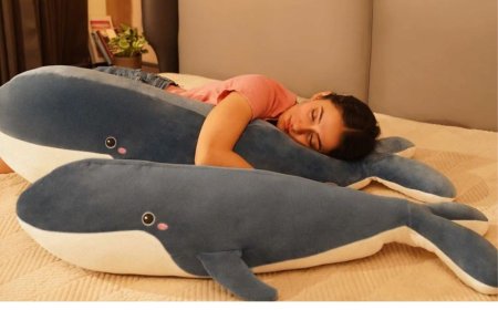 Eroloc - Cuddle Pillows &amp Comfy Cushies | Home Decor Cushions