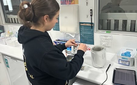 Best Electrician in Beaumont Hills – Gold Electrical Services You Can Trust