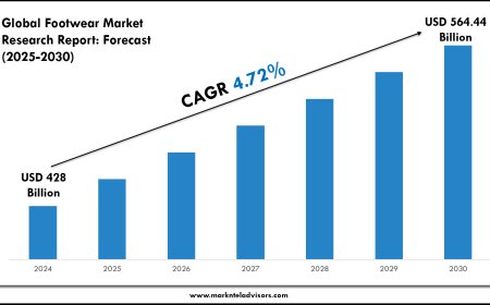Footwear Market Charts, Graphs and Forecast Report 2030