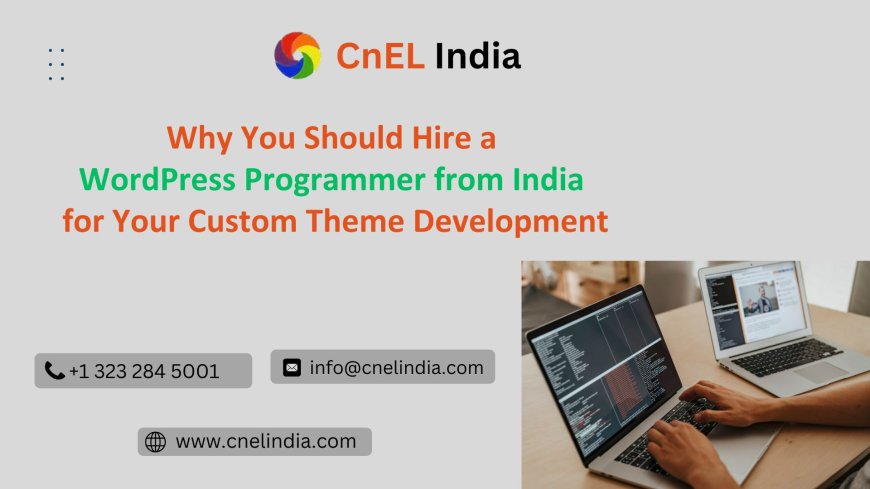 Why You Should Hire a WordPress Programmer from India for Your Custom Theme Development