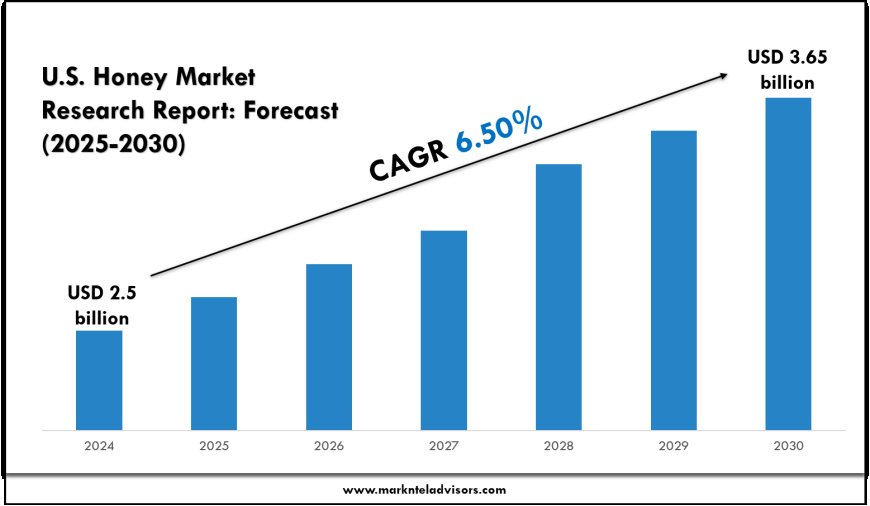 U.S. Honey Market Forecast by Segment and Geography