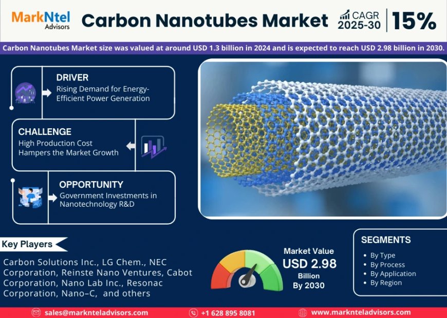 Global Carbon Nanotubes Components Market Value and Growth Projections for 2025 - 2030