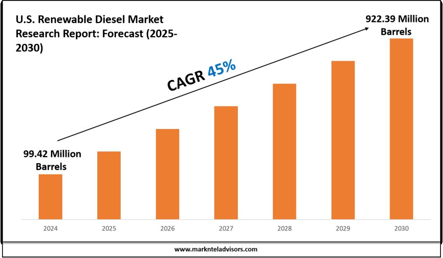 U.S. Renewable Diesel Market Intelligence Report: 2025–2030 Forecast & Trends
