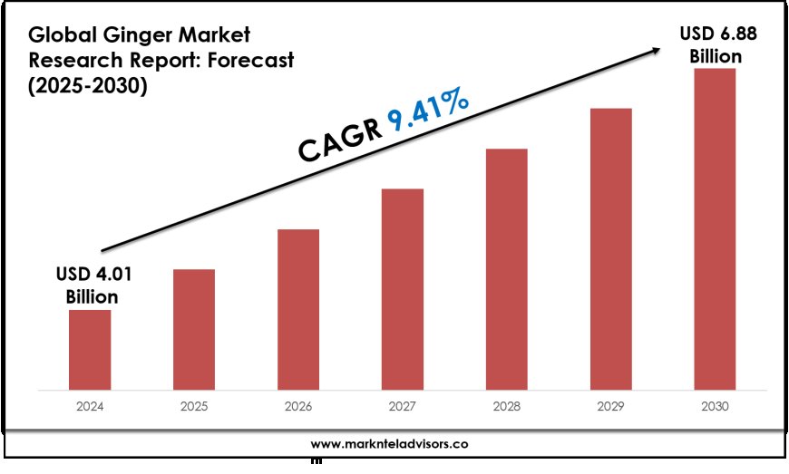Exploring Ginger Market Trends: Growth Outlook to 2030