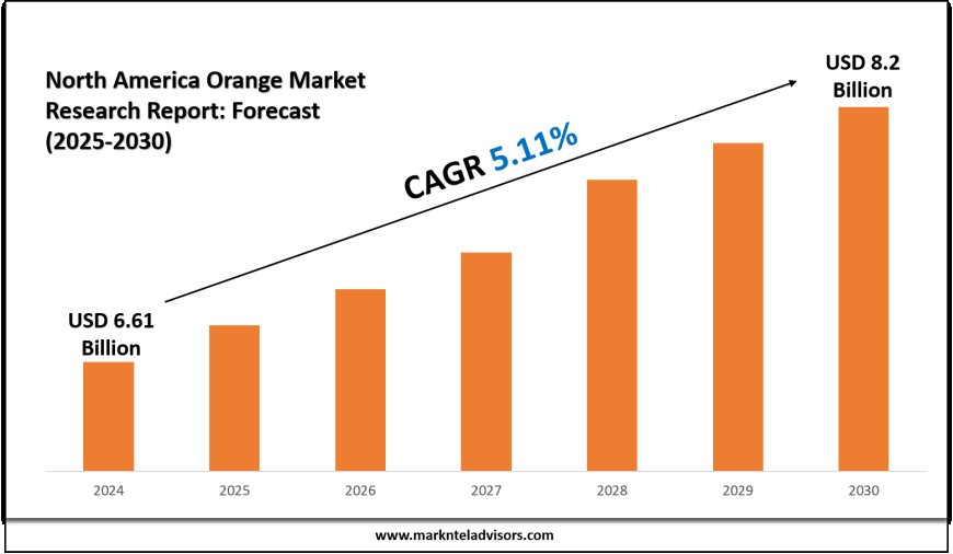 North America Orange Market Estimated to Reach USD 8.2 Billion by 2030