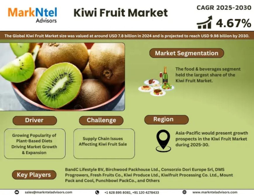 Global Kiwi Fruit Market Size, Share, Trends, Growth Analysis, Report 2025-2030