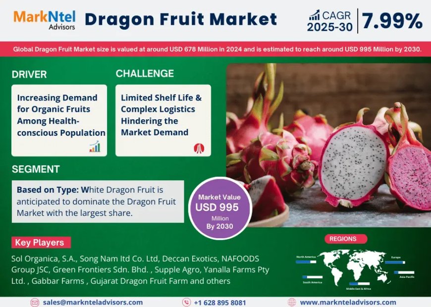Global Dragon Fruit Market Value and Growth Projections for 2025 - 2030