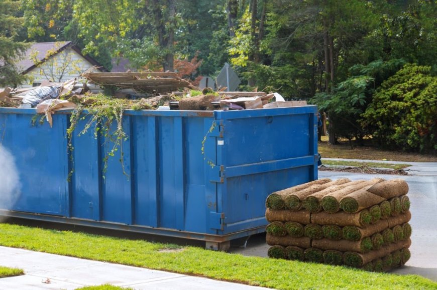 How 10-Yard Dumpsters Rental in Reno, NV, Can Help You Manage Residential Cleanouts